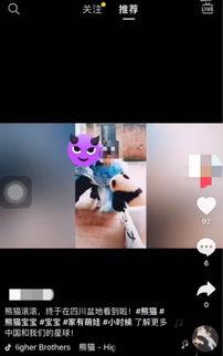 重庆动物园爆料新闻视频,神秘动物亮相，揭秘背后故事  第1张